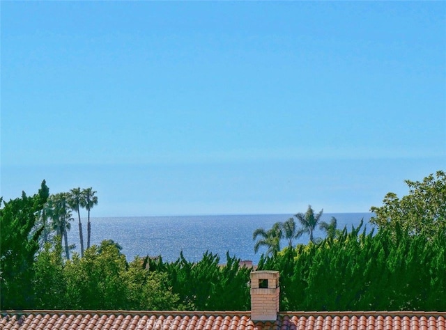 view of water feature