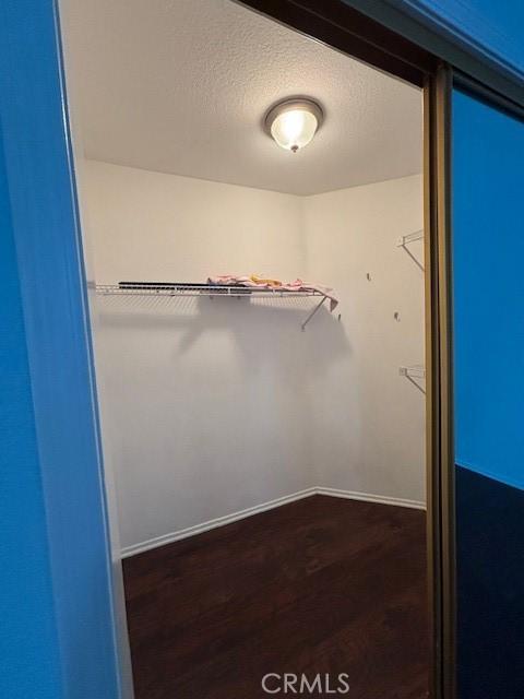 spacious closet featuring dark wood-type flooring