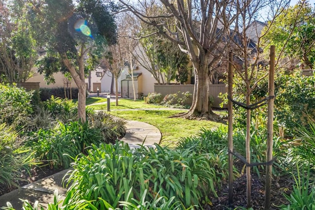 view of property's community with a yard