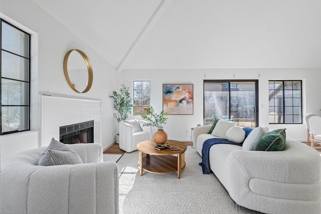 living room featuring high vaulted ceiling and light hardwood / wood-style flooring