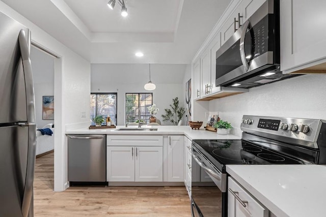 kitchen with white cabinetry, stainless steel appliances, a tray ceiling, and sink