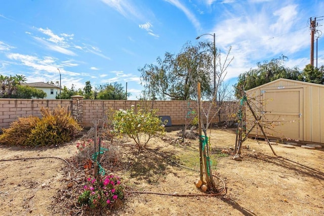 view of yard with a storage shed