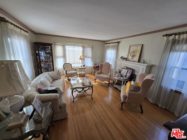 living room featuring crown molding and hardwood / wood-style floors