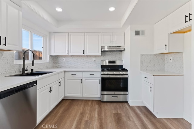 kitchen with sink, white cabinetry, light hardwood / wood-style flooring, a tray ceiling, and stainless steel appliances