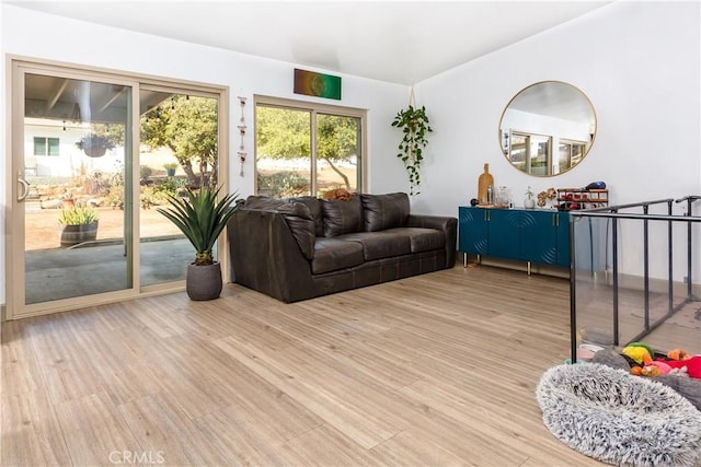 living room with light hardwood / wood-style floors