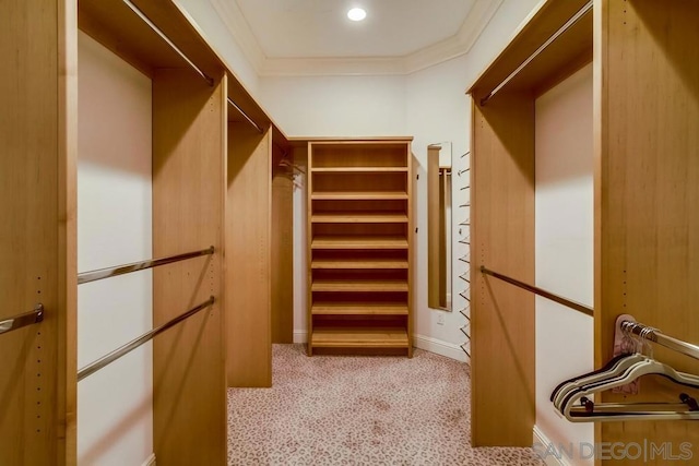 spacious closet featuring light colored carpet