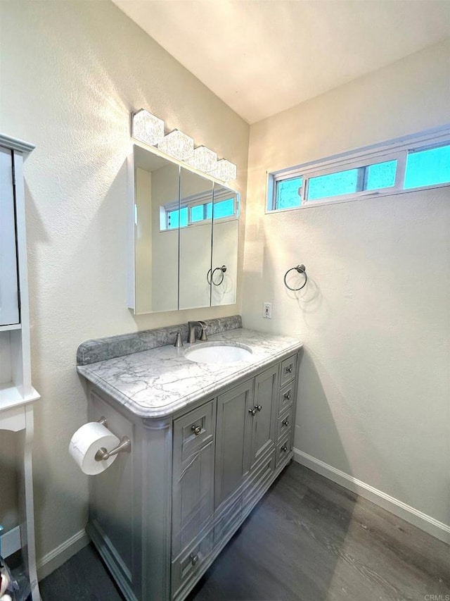 bathroom with hardwood / wood-style flooring and vanity