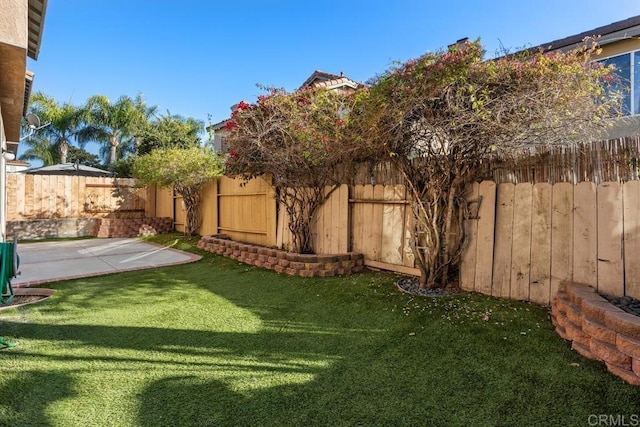 view of yard with a patio