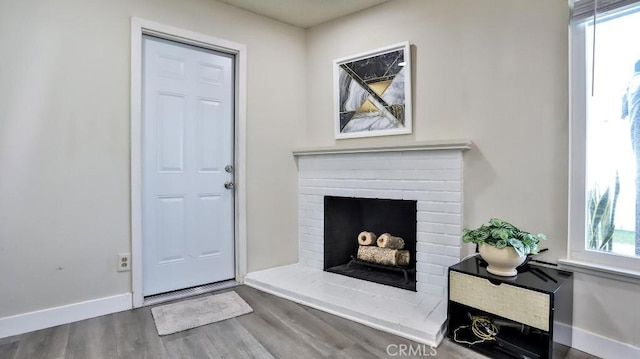 living room featuring wood-type flooring and a fireplace