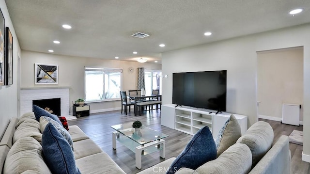 living room featuring a fireplace and wood-type flooring