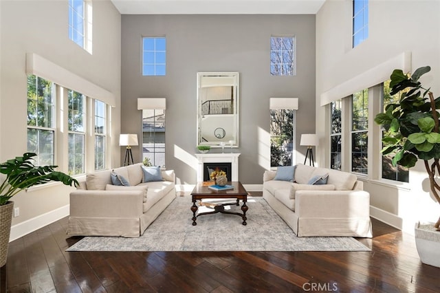 living room with hardwood / wood-style flooring and a healthy amount of sunlight