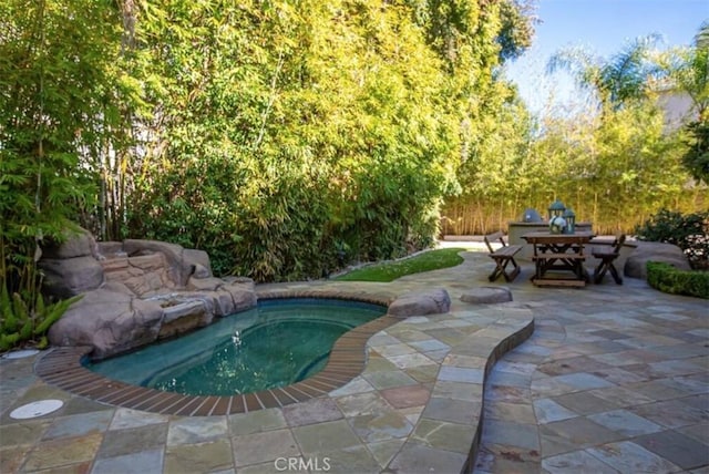 view of pool featuring a patio