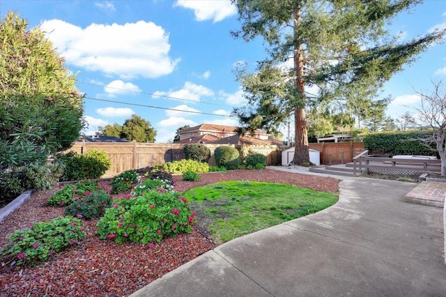 view of yard with a patio and a shed