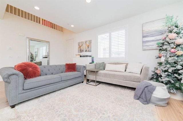 living room with wood-type flooring