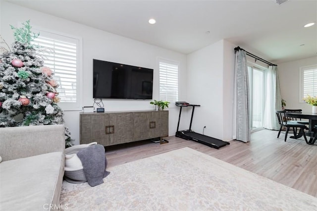 living room featuring light hardwood / wood-style flooring and a wealth of natural light