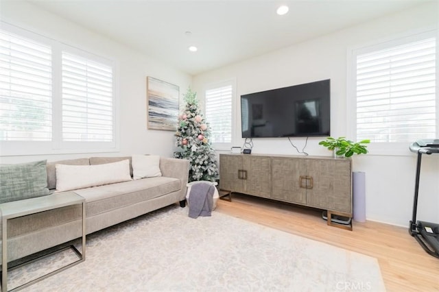 living room featuring light wood-type flooring