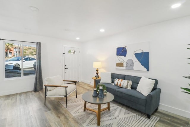 living room featuring hardwood / wood-style flooring