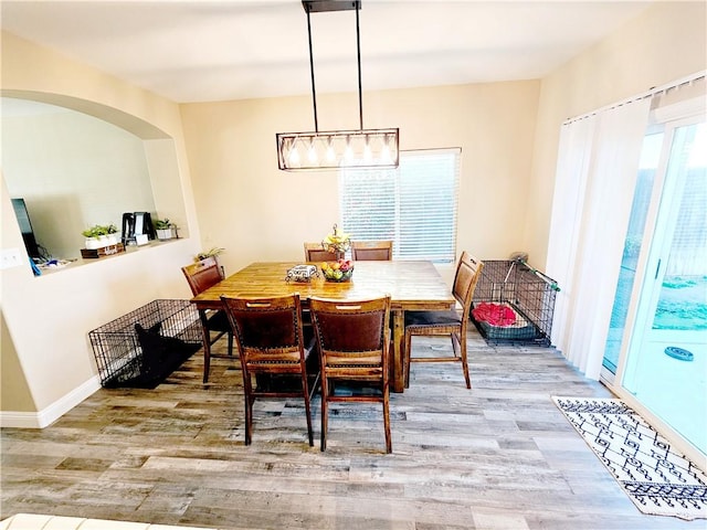 dining area featuring hardwood / wood-style floors