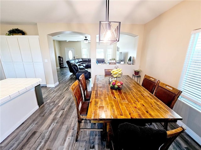 dining space featuring hardwood / wood-style flooring and ceiling fan