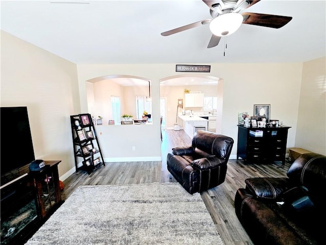 living room featuring ceiling fan and hardwood / wood-style floors