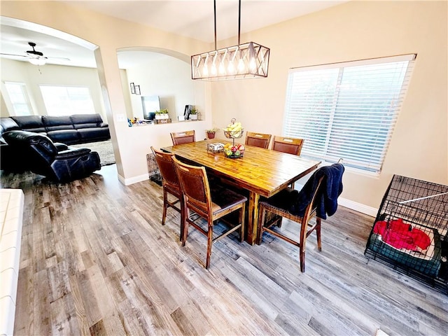 dining room featuring ceiling fan and light hardwood / wood-style flooring