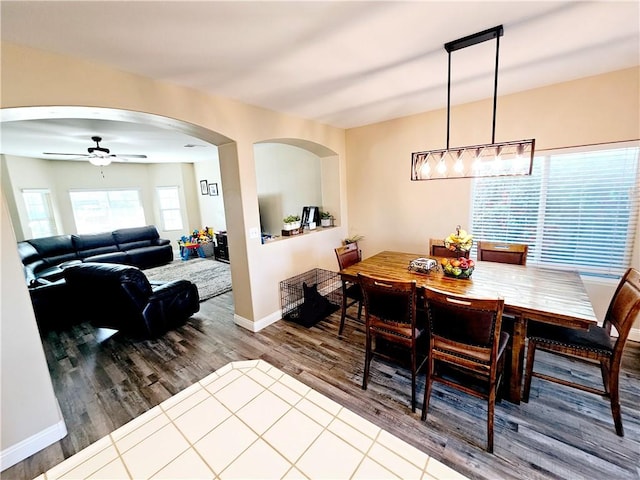 dining area featuring hardwood / wood-style floors and ceiling fan