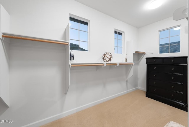 spacious closet featuring light colored carpet