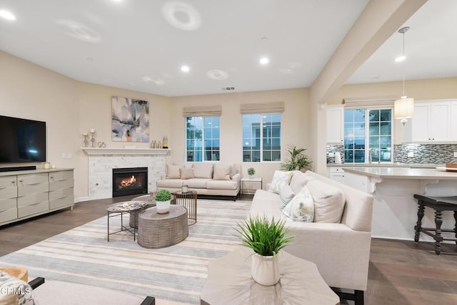 living room featuring dark hardwood / wood-style floors, a stone fireplace, and a wealth of natural light