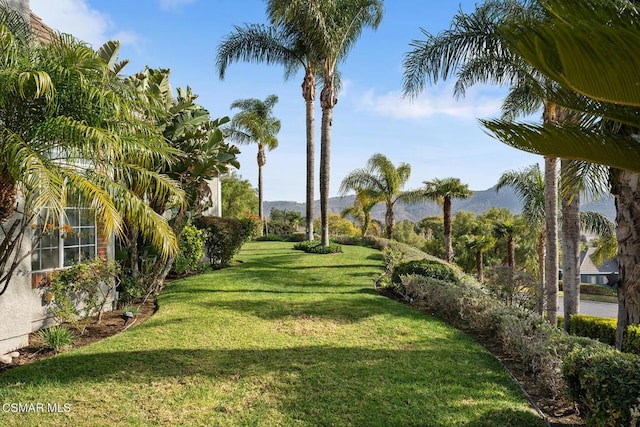 surrounding community featuring a mountain view and a lawn