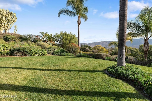 view of yard with a mountain view