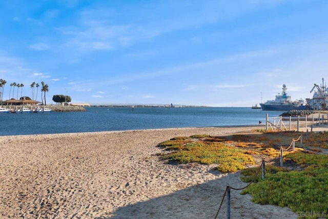 water view with a view of the beach