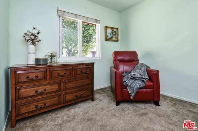 living area with light carpet