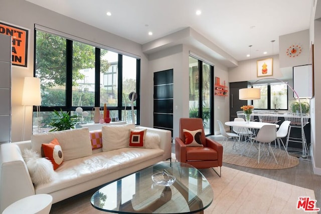 living room featuring hardwood / wood-style flooring