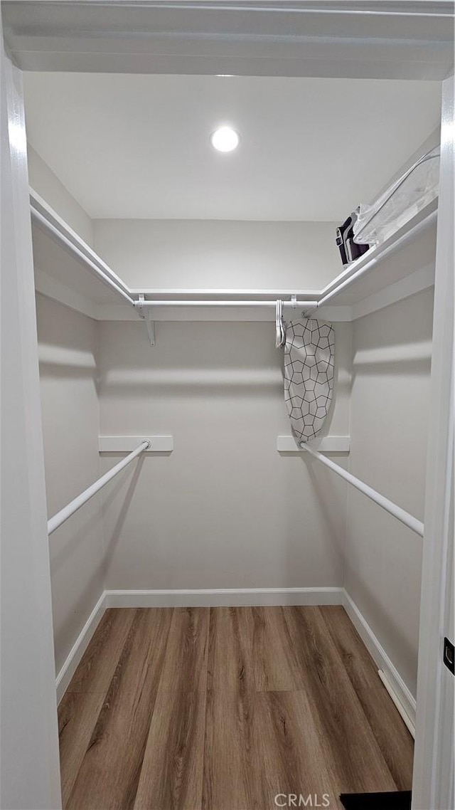 walk in closet with hardwood / wood-style floors