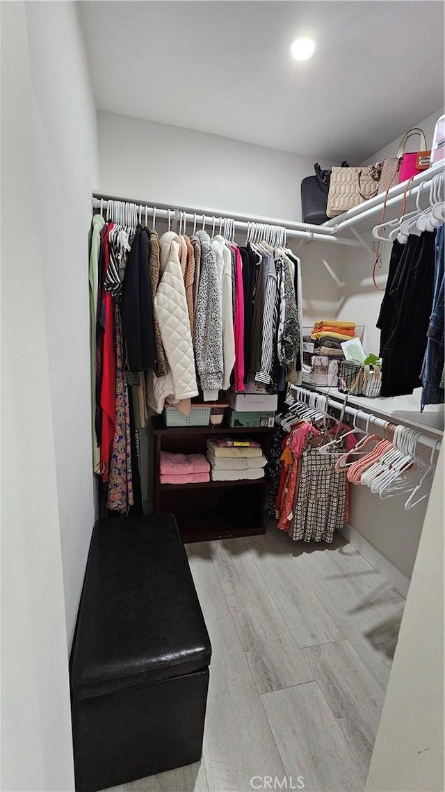 walk in closet with wood-type flooring