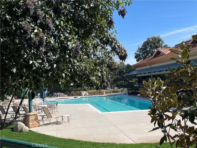 pool featuring a patio area