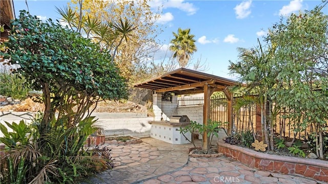 view of patio / terrace featuring an outdoor kitchen and fence