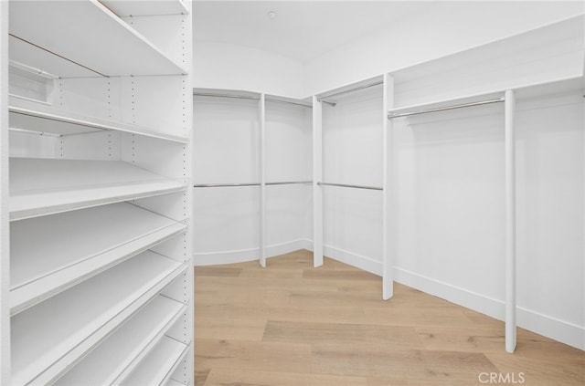 spacious closet featuring light wood-type flooring