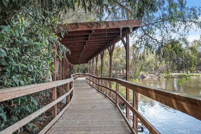 dock area with a water view