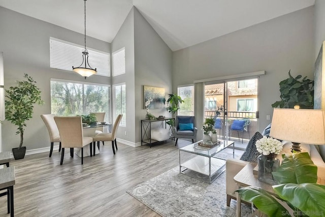 living room featuring wood-type flooring and high vaulted ceiling