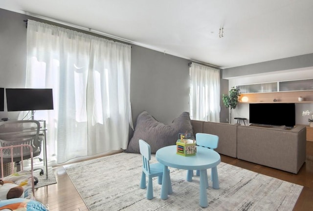 living room featuring hardwood / wood-style floors