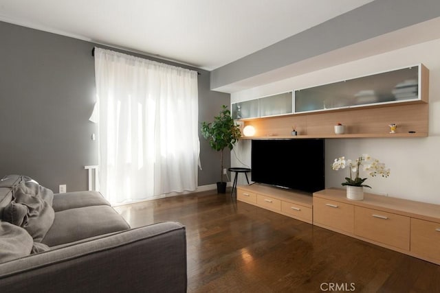 living room featuring dark wood-type flooring