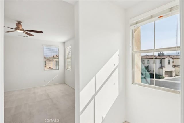 stairway featuring ceiling fan and carpet flooring