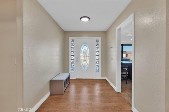 entryway with a healthy amount of sunlight and wood-type flooring