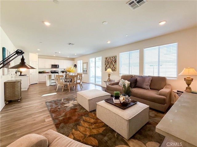 living room featuring light hardwood / wood-style flooring