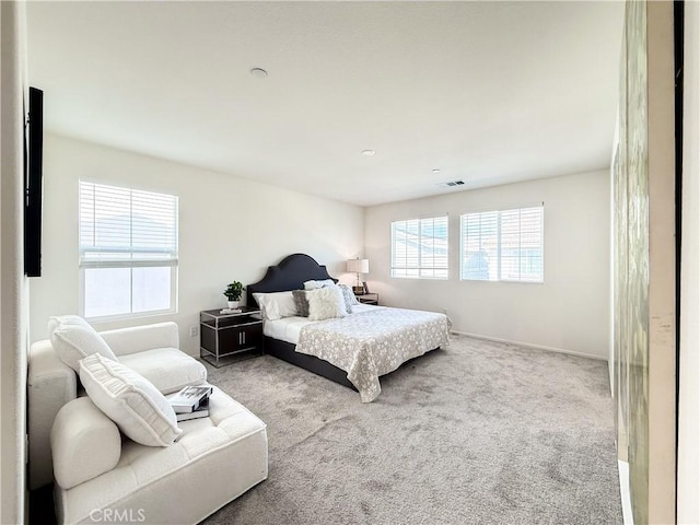 bedroom with carpet flooring