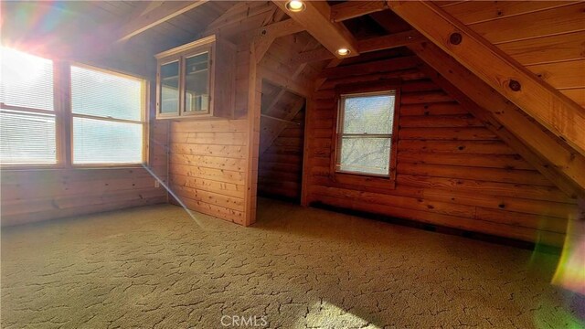 attic featuring a healthy amount of sunlight