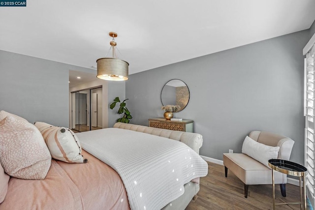 bedroom with wood-type flooring and a closet