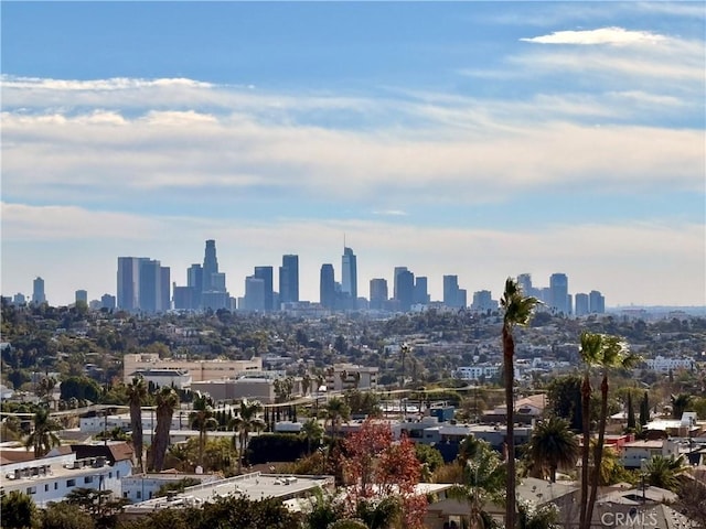 property's view of city