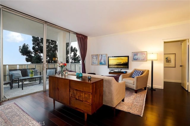 living room featuring floor to ceiling windows and dark hardwood / wood-style floors